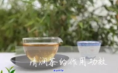 探究桦棋清润茶的功效及其作用