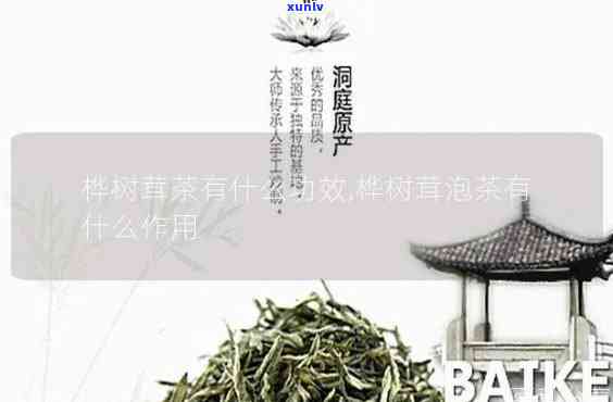 桦棋清润茶的功效-桦棋清润茶的功效是什么