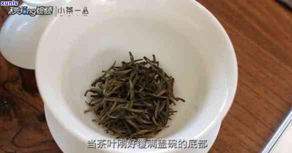 和茶用法用量标准：详细克数介绍