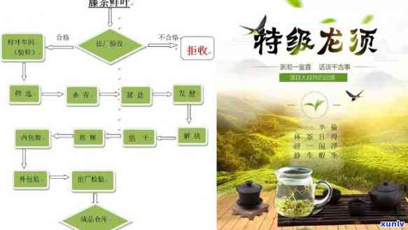 揭露来凤藤茶传销骗局：全面解析其运作模式与危害性