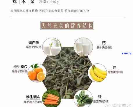 辣木茶：作用、功效与禁忌全解析