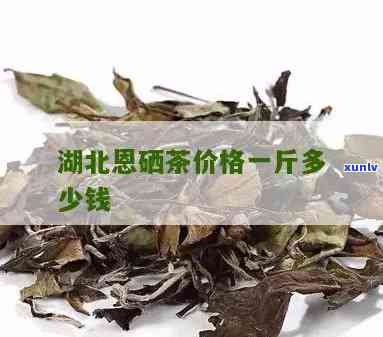 恩富硒茶多少钱一斤？最新价格一览