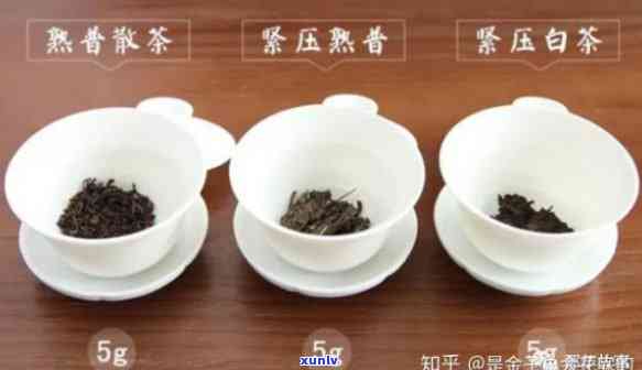 不发酵茶的冲泡要点全解析