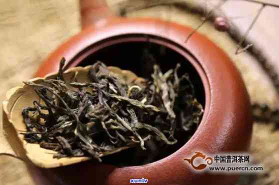 不发酵茶的冲泡要点-不发酵茶的冲泡要点有哪些