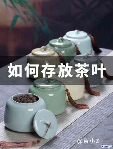 存茶的三大注意事-存茶的三大注意事是什么