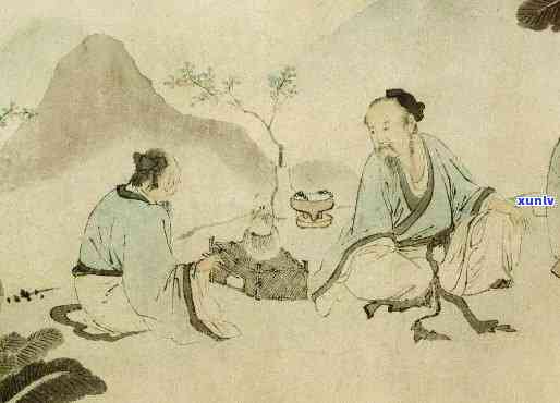 明代饮茶茶叶主要是何种品种？