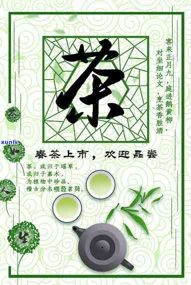 品尝新茶的那一口-新茶已到,欢迎品尝