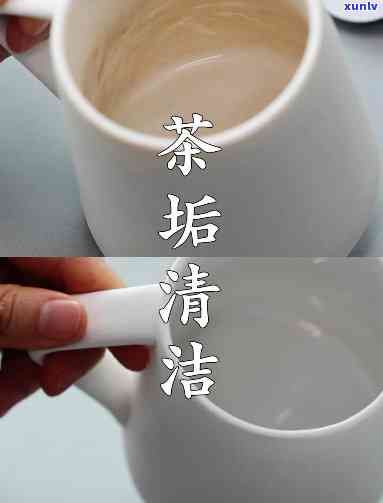 如何彻底清洗泡过茶的杯子：去除茶垢与异味的 *** 