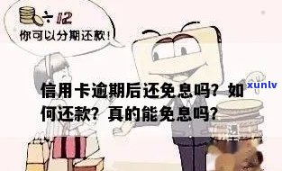 发逾期免息分期还款：如何操作？是否真实有效？