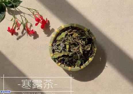 山东喝茶，品味山东，领略茶香——山东喝茶文化深度解析