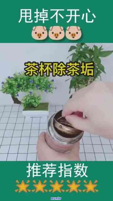 喝茶的水杯清洗视频教程，详细讲解步骤