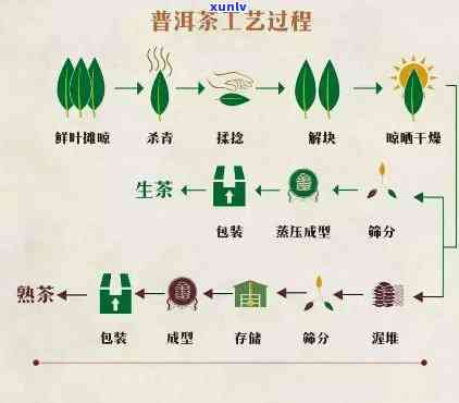 茶叶晒青工艺：全程流程详解与步骤图