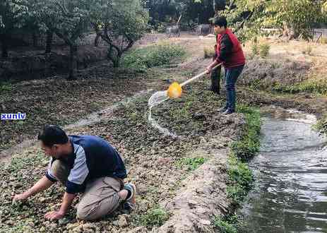 海珠场喝茶的地方在哪里，寻找海珠场的茶文化：喝茶地点推荐