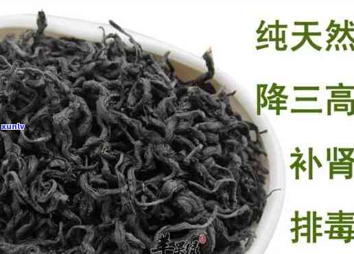 仲茶的功效及用途全解析