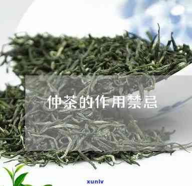 仲茶的功效、用途与用量全图解，一文看懂价格