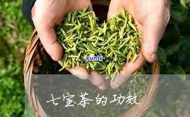 七宝茶：作用、用途及使用禁忌全解析