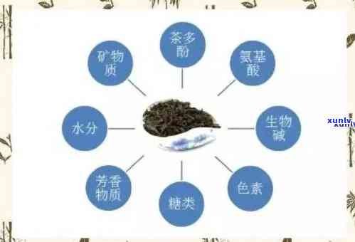 探究茶的社会价值及多种用途