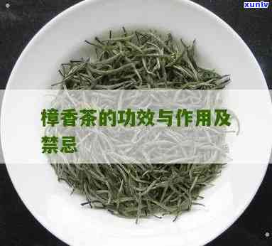 莞香茶的功效、用途及禁忌全解析