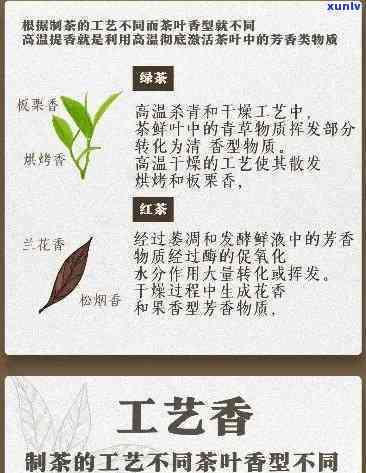 莞香茶属于什么茶，探秘中国名茶：莞香茶的分类与特点