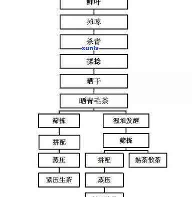 茶的采摘及 *** 流程图详解