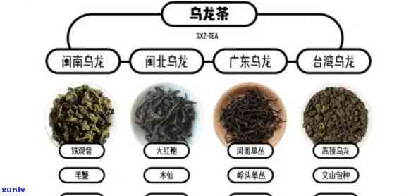 青茶的 *** 工艺流程是什么，探秘青茶的 *** 工艺流程