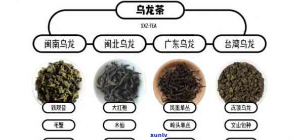 青茶的加工工艺流程是什么，深入了解青茶：探索其独特的加工工艺流程