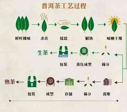 青茶的加工工艺过程及特点解析