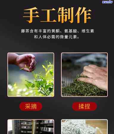 藤茶加工视频教程大全：从原料到成品全过程解析