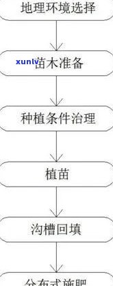 藤茶的加工工艺流程-藤茶的加工工艺流程图