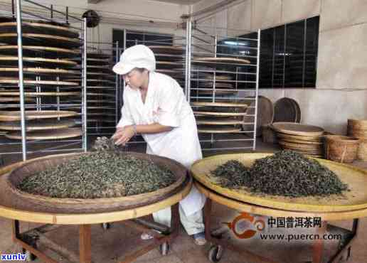 手工制茶的工艺流程-手工制茶的工艺流程视频