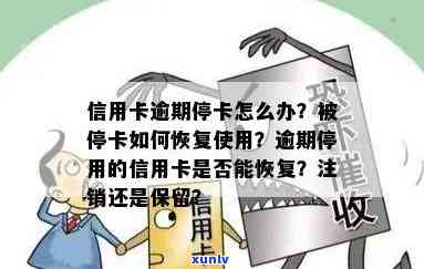 交通逾期停卡后自动恢复了，交通卡逾期被停用？别担心，它会自动恢复！