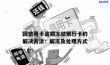 小青柑普洱产自哪里