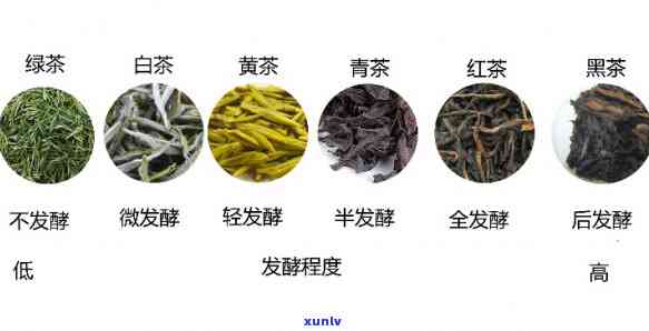 6大茶类的生产工艺，深入解析：六大茶类的生产工艺及特点