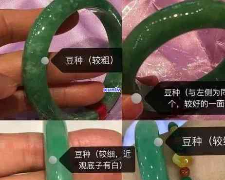 冰种翡翠与豆种翡翠：区别与功效解析