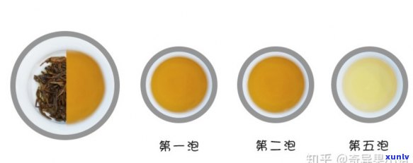 中国茶与外国茶：深度比较与区别解析