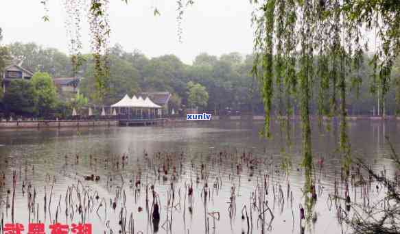 武汉东湖喝茶的地方-武汉东湖喝茶的地方推荐