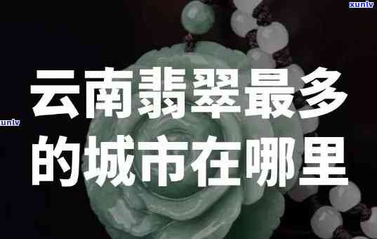 八马茶叶老总是哪人-八马茶业事长