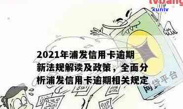 浦发逾期减免政策详情：内容、含义及起始时间