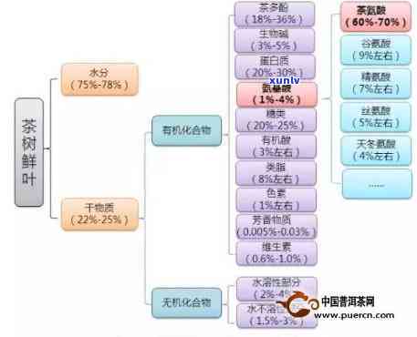 探究茶的品质：影响因素及其关联性