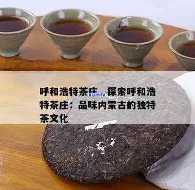 和浩特市喝茶，探索内古风情：在和浩特市品尝地道茶香