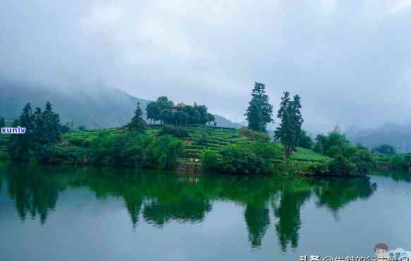 江哪里喝茶景色好，寻找茶景：江地区的推荐地点