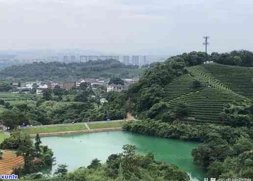 江哪里喝茶景色好，寻找茶景：江地区的推荐地点