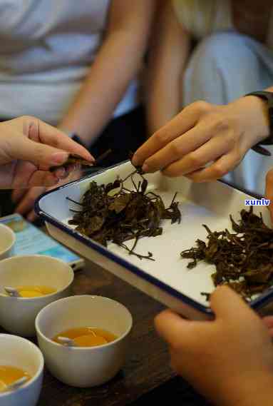 羽和谁讨论茶的水-羽与茶的故事