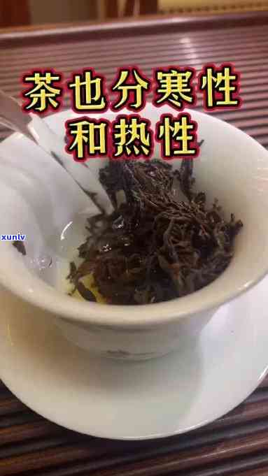 大叶茶是寒还是火，解析茶叶属性：大叶茶是寒性还是热性？