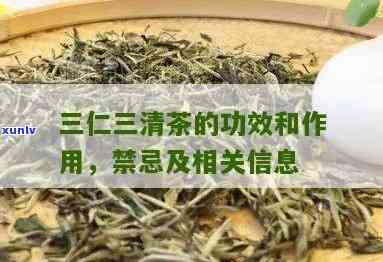 三清茶的功效、作用及禁忌全解析