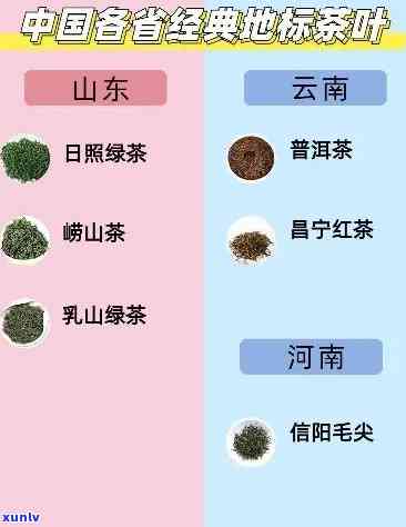 全国喝茶最多的地方：详细排名及解析