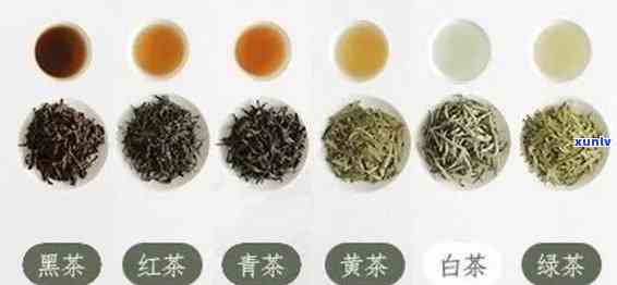 哪类茶是后发酵的茶，揭示茶叶奥秘：哪些茶属于后发酵茶？