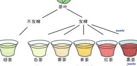 哪类茶是后发酵的茶，揭示茶叶奥秘：哪些茶属于后发酵茶？