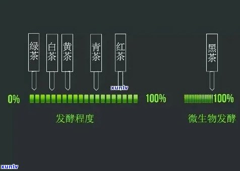 以下属于发酵茶的是：绿茶、红茶、乌龙茶、白茶、黄茶、黑茶等。