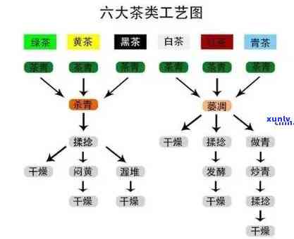 下面哪一类属于发酵茶？请描述其特点与分类